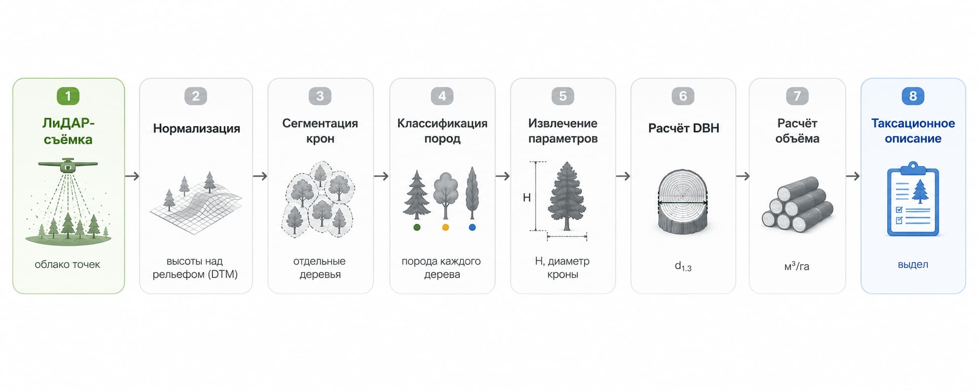 Workflow автоматизированной LiDAR-таксации — от съёмки до таксационного описания